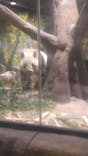 恩賜上野動物園に投稿された画像（2026/1/3）