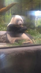 恩賜上野動物園に投稿された画像（2026/1/3）