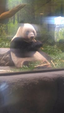 恩賜上野動物園に投稿された画像（2026/1/3）