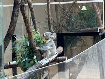 名古屋市東山動植物園に投稿された画像（2026/1/3）