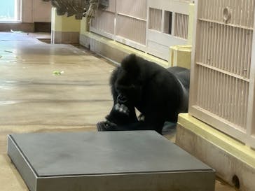 名古屋市東山動植物園に投稿された画像（2026/1/3）