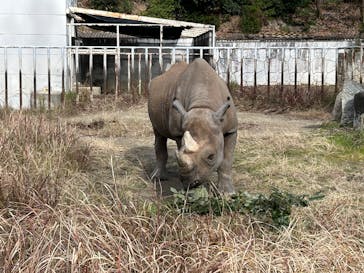 名古屋市東山動植物園に投稿された画像（2026/1/3）