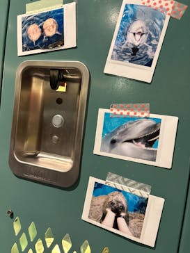 京都水族館に投稿された画像（2026/1/3）