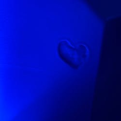 京都水族館に投稿された画像（2026/1/3）