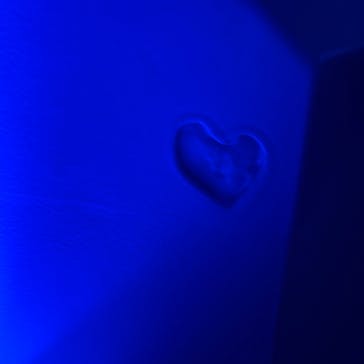 京都水族館に投稿された画像（2026/1/3）