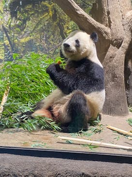 恩賜上野動物園に投稿された画像（2026/1/3）