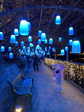 安城産業文化公園デンパークに投稿された画像（2026/1/3）