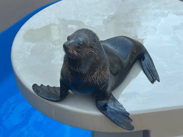 アクアワールド茨城県大洗水族館に投稿された画像（2026/1/3）