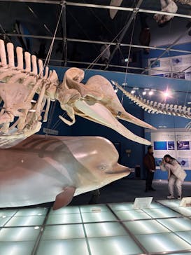 名古屋港水族館に投稿された画像（2026/1/3）