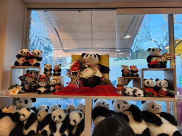 恩賜上野動物園に投稿された画像（2026/1/3）