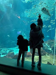 マリンワールド海の中道に投稿された画像（2026/1/3）