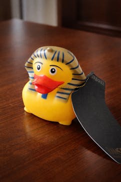 ACN ラムセス大王展 ファラオたちの黄金に投稿された画像（2026/1/3）