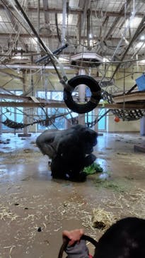 名古屋市東山動植物園に投稿された画像（2026/1/3）