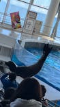 アクアワールド茨城県大洗水族館に投稿された画像（2026/1/3）