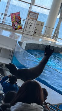 アクアワールド茨城県大洗水族館に投稿された画像（2026/1/3）