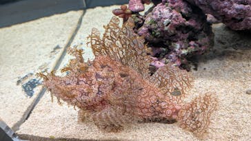 AOAO SAPPOROに投稿された画像（2026/1/3）