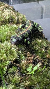 AOAO SAPPOROに投稿された画像（2026/1/3）