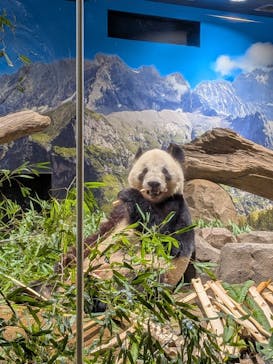 恩賜上野動物園に投稿された画像（2026/1/3）