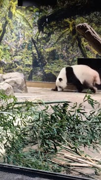 恩賜上野動物園に投稿された画像（2026/1/3）