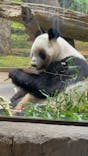恩賜上野動物園に投稿された画像（2026/1/3）