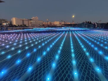 東京メガイルミに投稿された画像（2026/1/3）