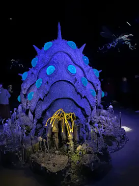 金曜ロードショーとジブリ展（静岡展）に投稿された画像（2026/1/3）