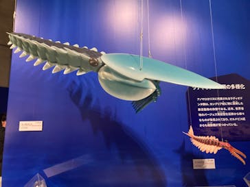 特別展「大絶滅展―生命史のビッグファイブ」に投稿された画像（2026/1/3）