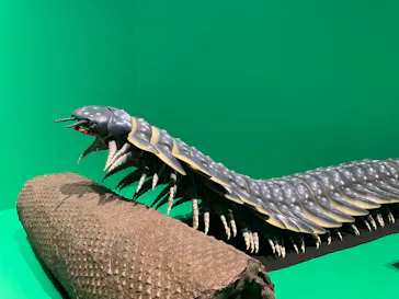 特別展「大絶滅展―生命史のビッグファイブ」に投稿された画像（2026/1/3）