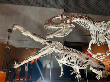 特別展「大絶滅展―生命史のビッグファイブ」に投稿された画像（2026/1/3）