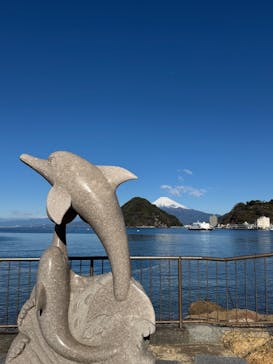 伊豆・三津シーパラダイスに投稿された画像（2026/1/3）