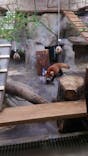 天王寺動物園に投稿された画像（2026/1/3）