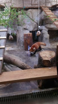 天王寺動物園に投稿された画像（2026/1/3）