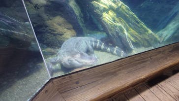 天王寺動物園に投稿された画像（2026/1/3）