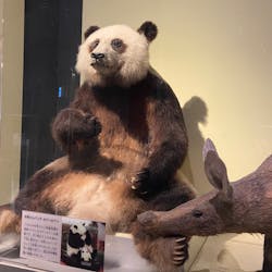 国立科学博物館に投稿された画像（2026/1/3）