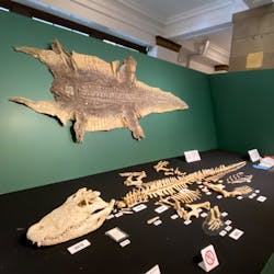 国立科学博物館に投稿された画像（2026/1/3）