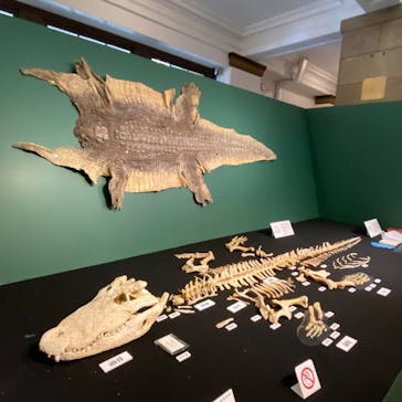 国立科学博物館に投稿された画像（2026/1/3）