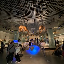 国立科学博物館に投稿された画像（2026/1/3）