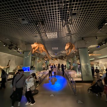 国立科学博物館に投稿された画像（2026/1/3）