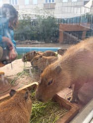 竹島水族館に投稿された画像（2026/1/3）