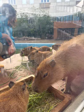 竹島水族館に投稿された画像（2026/1/3）