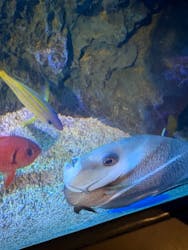 竹島水族館に投稿された画像（2026/1/3）