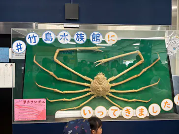 竹島水族館に投稿された画像（2026/1/3）
