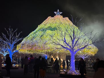 東京メガイルミに投稿された画像（2026/1/3）
