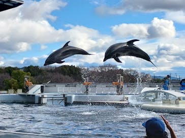 京都水族館に投稿された画像（2026/1/3）