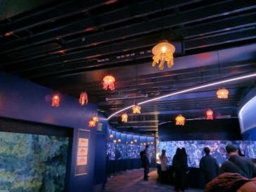 京都水族館に投稿された画像（2026/1/3）