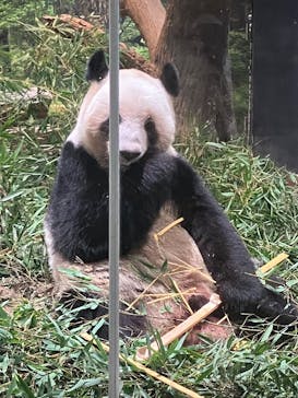 恩賜上野動物園に投稿された画像（2026/1/3）