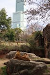 天王寺動物園に投稿された画像（2026/1/3）