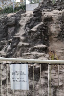 天王寺動物園に投稿された画像（2026/1/3）