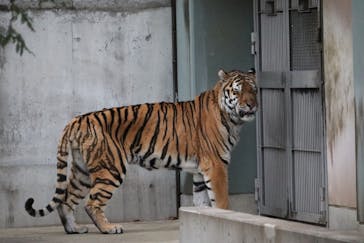 天王寺動物園に投稿された画像（2026/1/3）