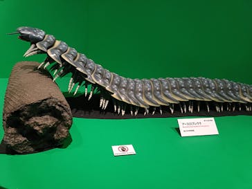 特別展「大絶滅展―生命史のビッグファイブ」に投稿された画像（2026/1/3）